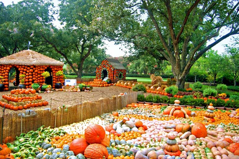 Pumpkin Display to Visit This Fall